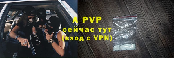 apvp Верея